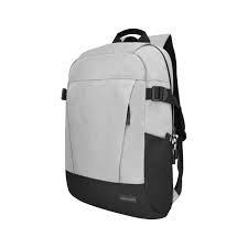 NOTEBOOK BAG PROMATE BIRGER COLOR 15.6 ظهر ,Laptop Bag