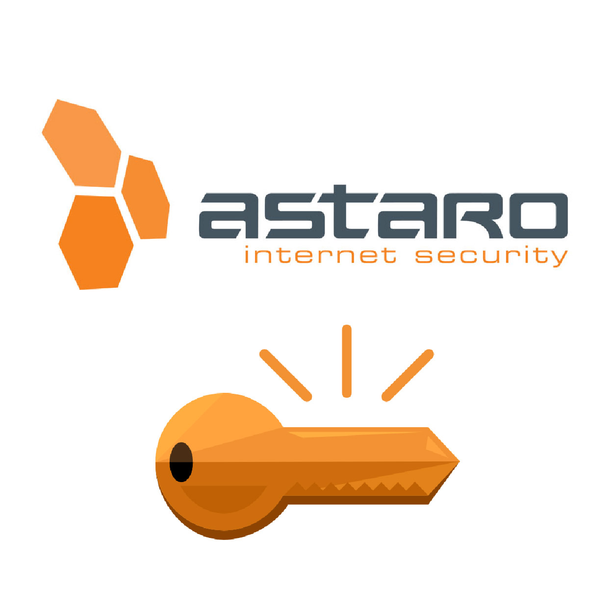 Astaro - Network Security Subscription for ASG 220 - Upgrading Key ,Firewall